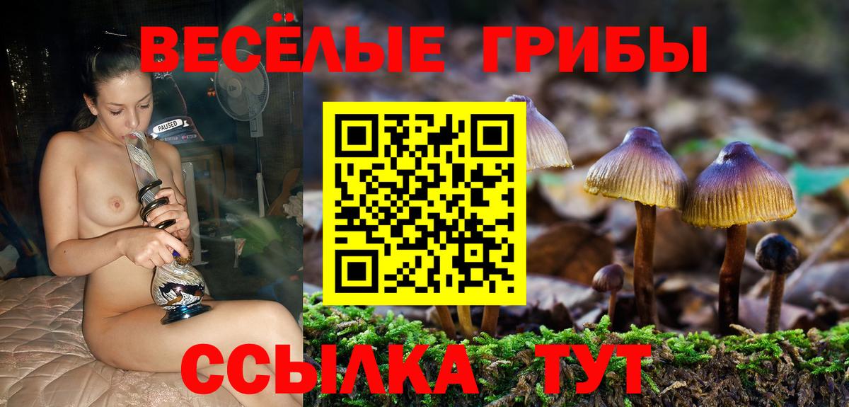 Галлюциногенные грибы Psilocybine cubensis  Псилоцибиновые грибы Magic Shrooms  Вход с VPN  Холмск 